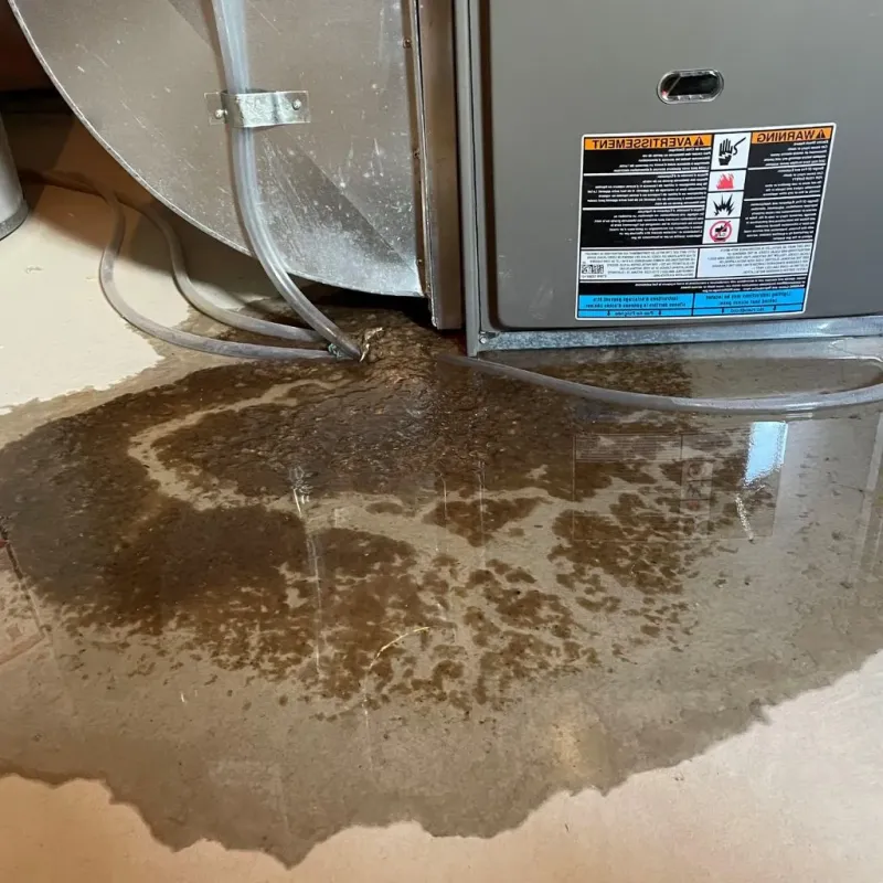 Pipe Burst and Leak Restoration in Lehi, UT
